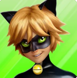 Miraculous Ladybug & Cat Noir